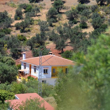 Almogía B&B Casa El Corasueno المظهر الخارجي الصورة