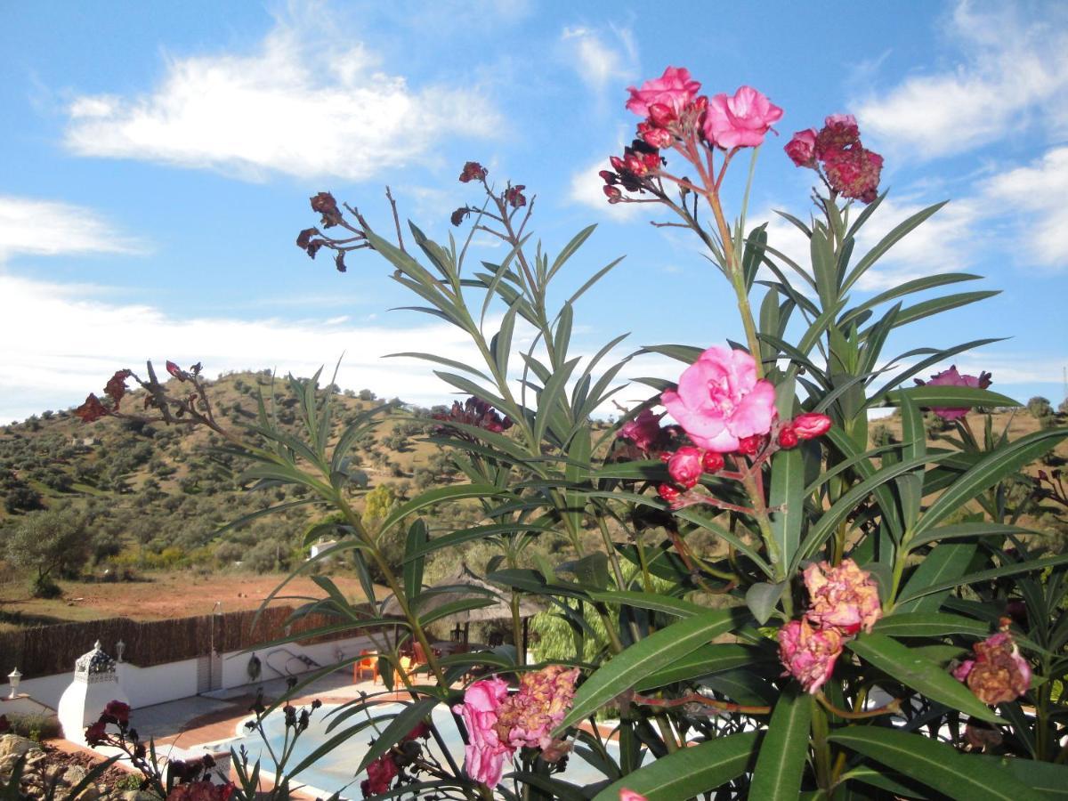 Almogía B&B Casa El Corasueno المظهر الخارجي الصورة